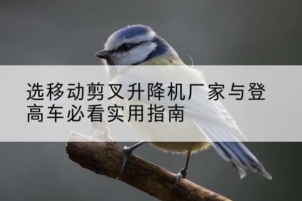 五台电动升降机厂家-选移动剪叉升降机厂家与登高车必看实用指南