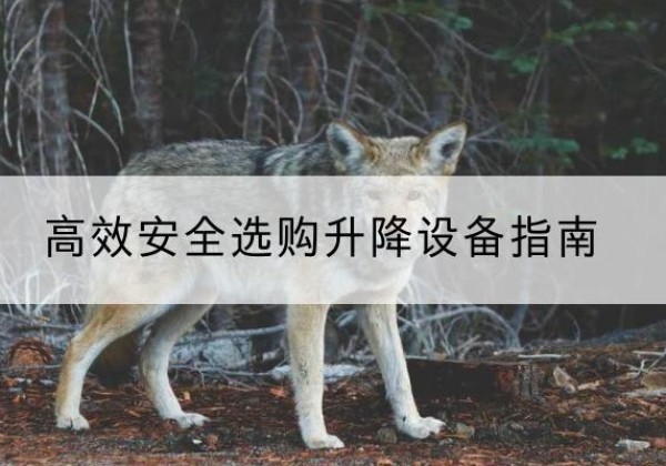 五台升降货梯厂家推荐-*安全选购升降设备指南