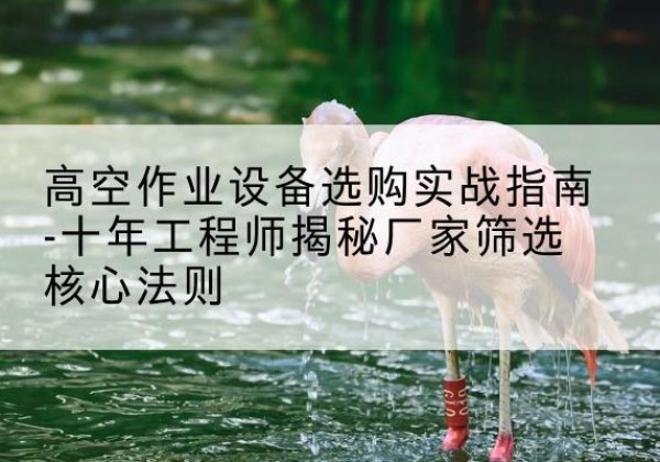 五台剪叉式升降机厂家-高空作业设备选购实战指南-十年工程师揭秘厂家筛选核心法则